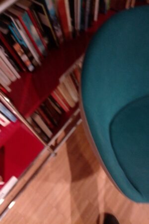 cover-9782383510178 Soleil noir sur jardin